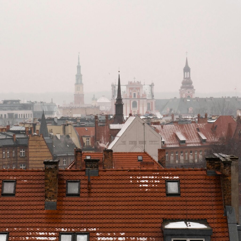 panorama of a european city with rooftops in the background